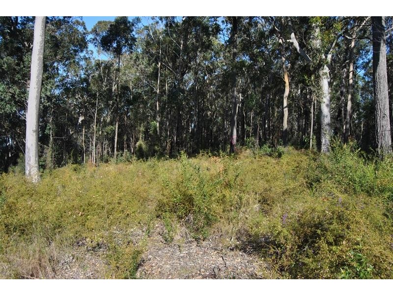 142 Ede Dr, Coomba Bay NSW 2428