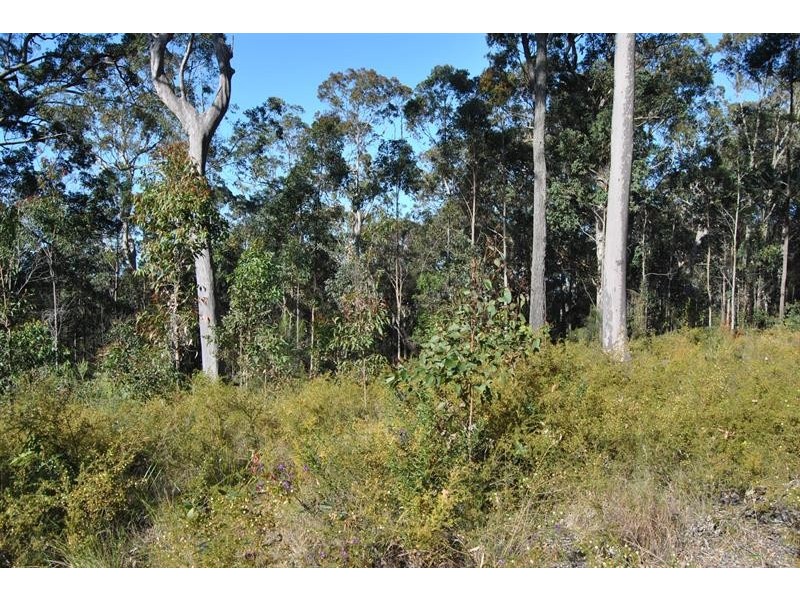142 Ede Dr, Coomba Bay NSW 2428