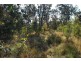 142 Ede Dr, Coomba Bay NSW 2428