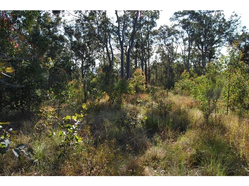 142 Ede Dr, Coomba Bay NSW 2428
