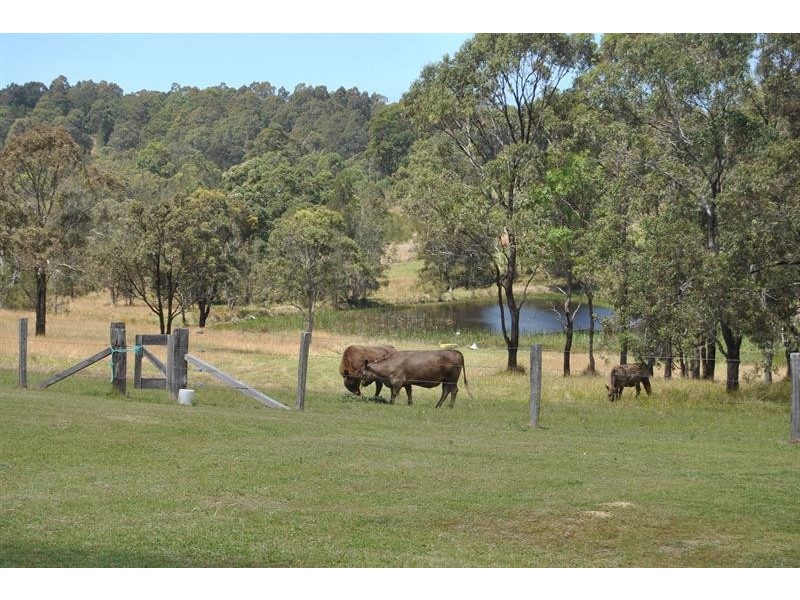 44 Aroona St, Coomba Park NSW 2428