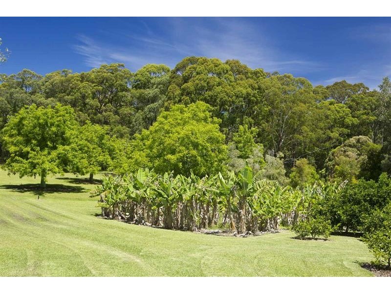 Lot 9 Thomas Pl, Bungwahl NSW 2423