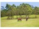 812  Wattey Hill Rd, Wootton NSW 2423