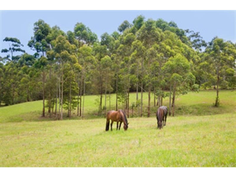 812  Wattey Hill Rd, Wootton NSW 2423