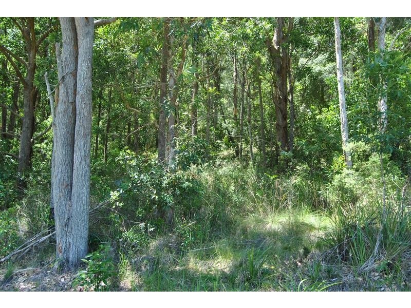 Lot 2 Seal Rocks Rd, Bungwahl NSW 2423