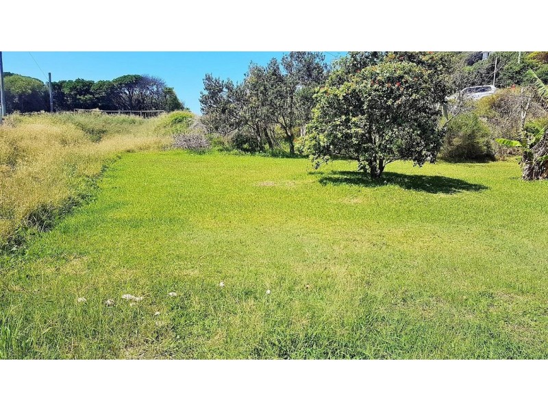 157 Boomerang Drive, Boomerang Beach NSW 2428