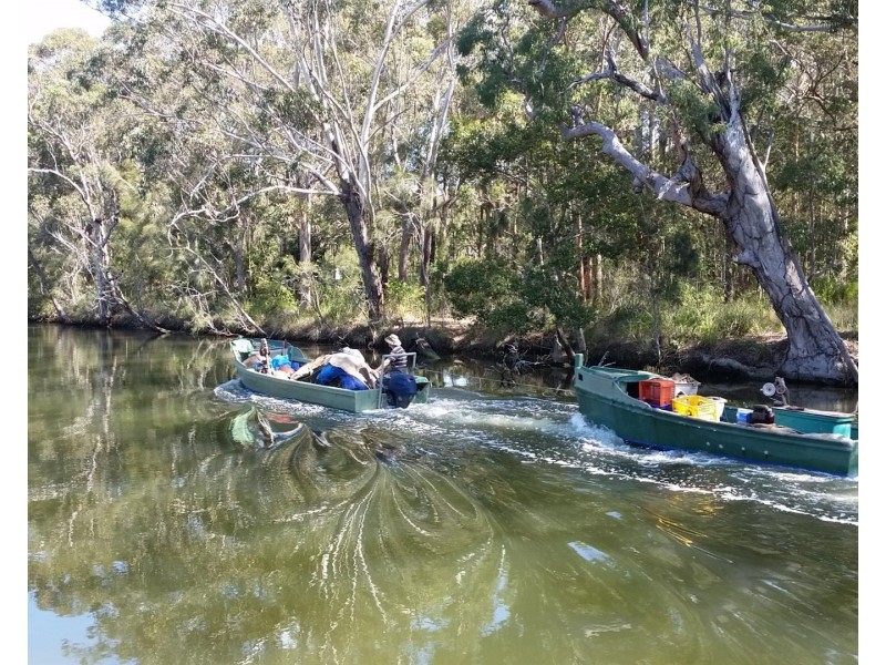 207 Charlotte Bay Street, Charlotte Bay NSW 2428