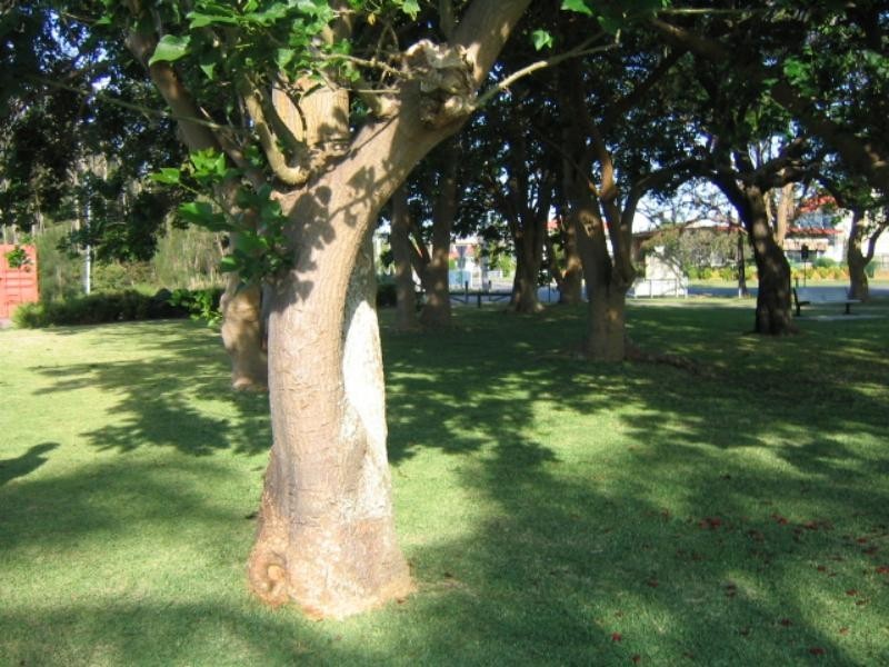 7/89 Soldiers Rd, Swansea NSW 2281