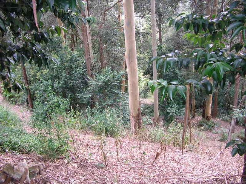 133A Charlestown Rd, Kotara NSW 2289