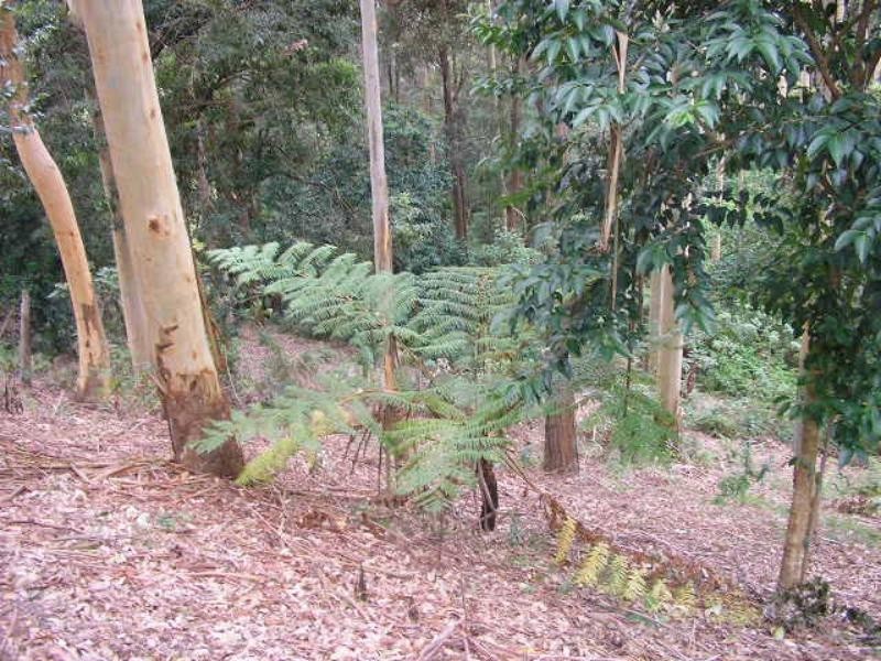 133A Charlestown Rd, Kotara NSW 2289