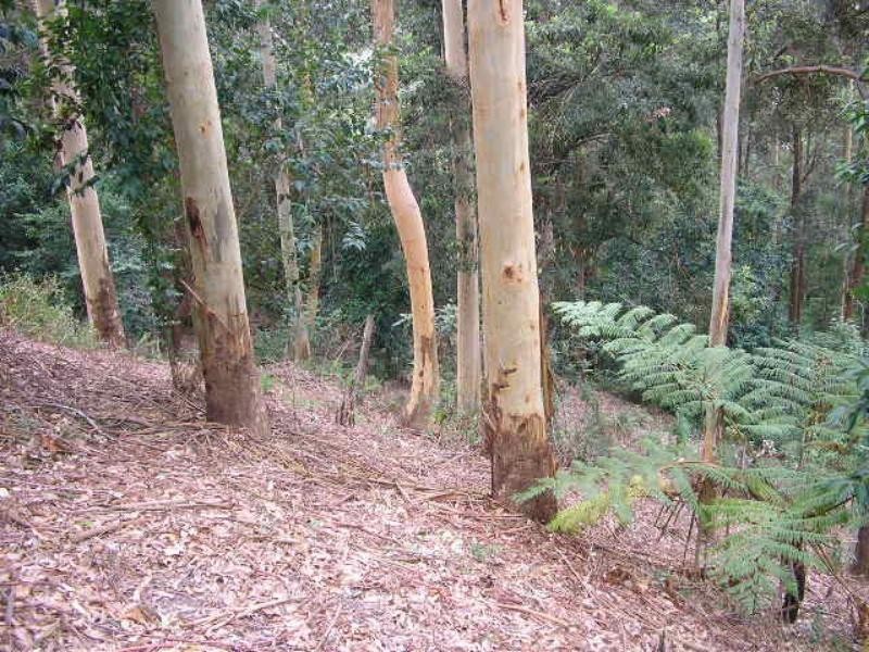 133A Charlestown Rd, Kotara NSW 2289