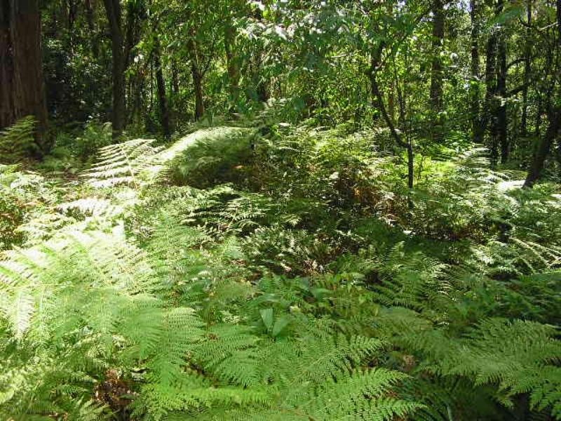 133A Charlestown Rd, Kotara NSW 2289