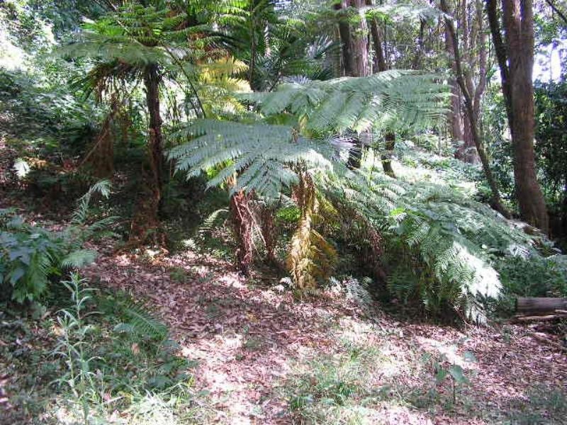133A Charlestown Rd, Kotara NSW 2289