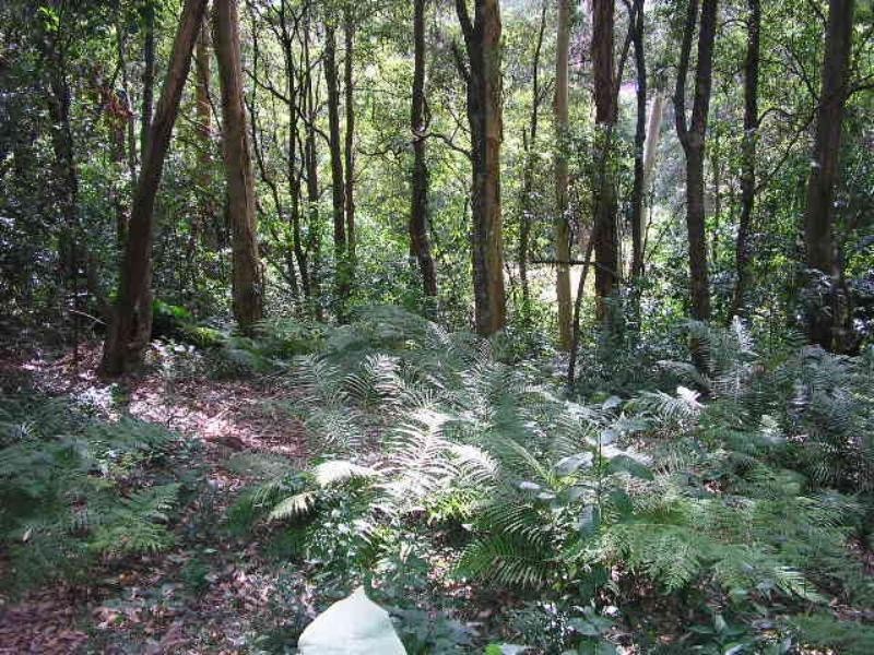 133A Charlestown Rd, Kotara NSW 2289