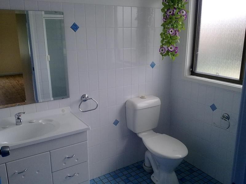 32 Morris St, Mayfield West NSW 2304