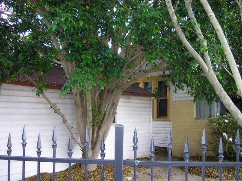 Mayfield NSW 2304