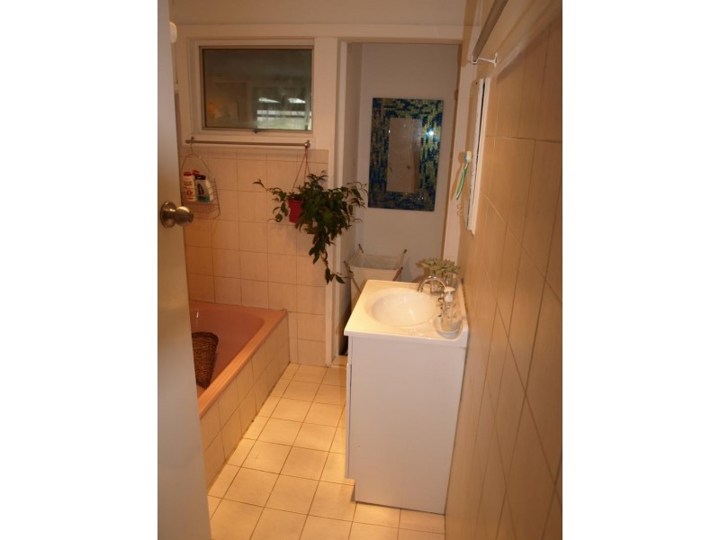 43 Stevenson Ave, Mayfield West NSW 2304