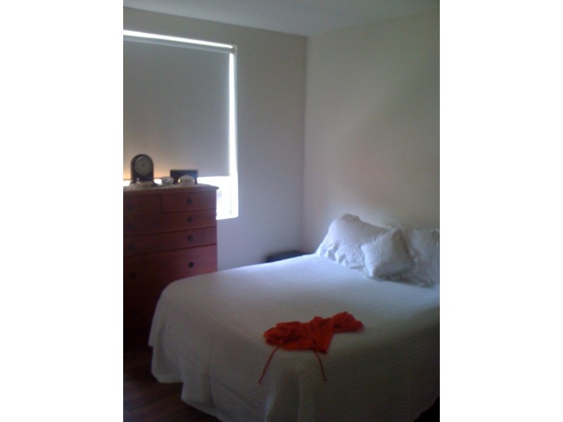 Cooks Hill NSW 2300