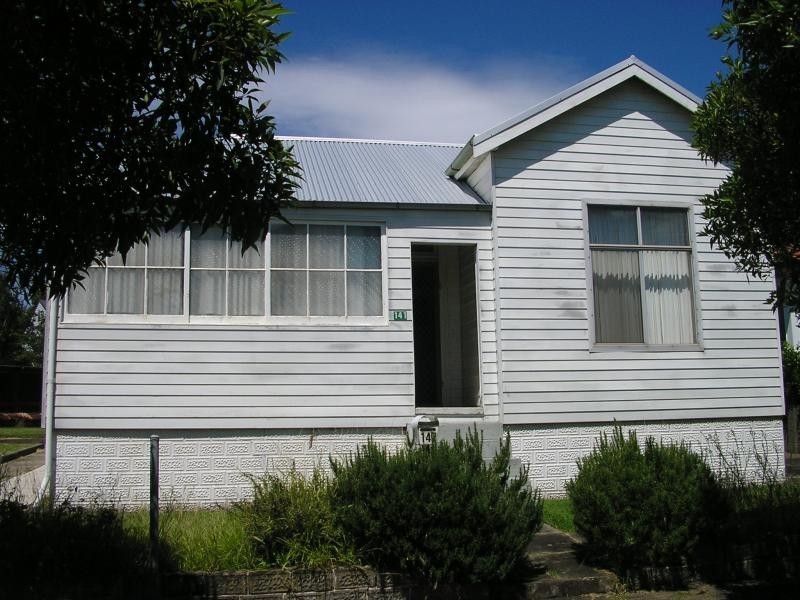 141 Young Rd, Lambton NSW 2299