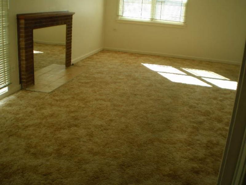 18 Scholey  St, Mayfield NSW 2304