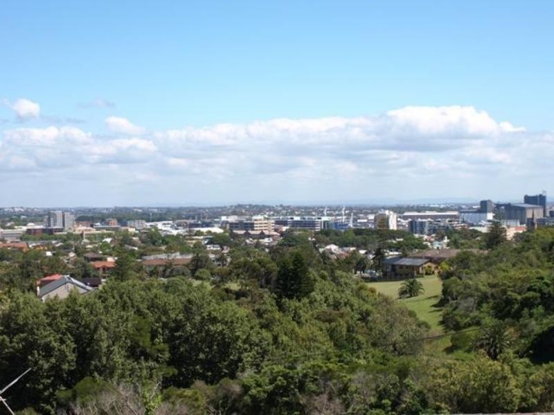 73 Nesca Pde, The Hill NSW 2300