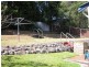 67 Henry St, Merewether NSW 2291