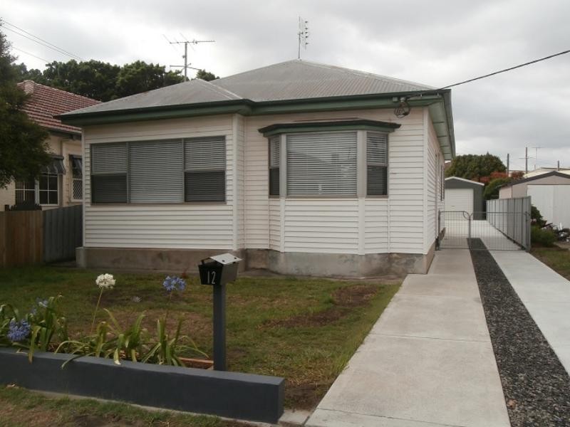 12 David St, Georgetown NSW 2298