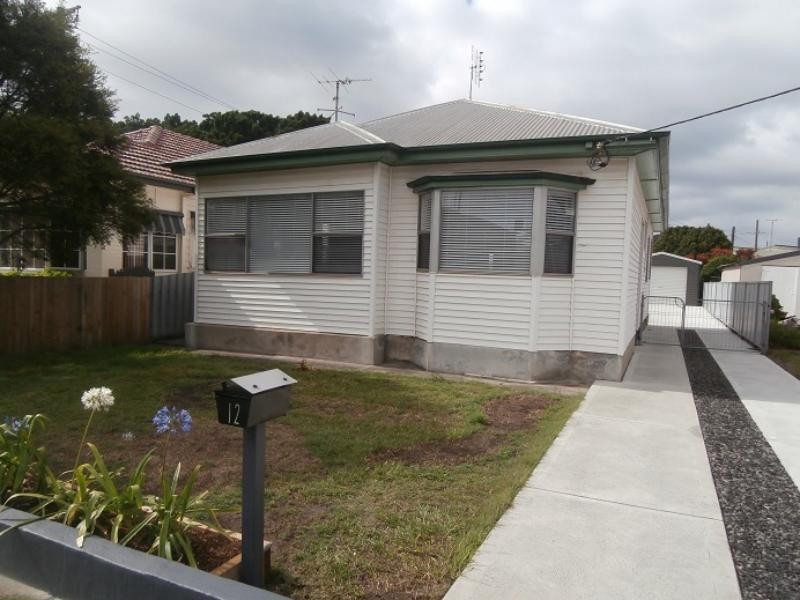 12 David St, Georgetown NSW 2298