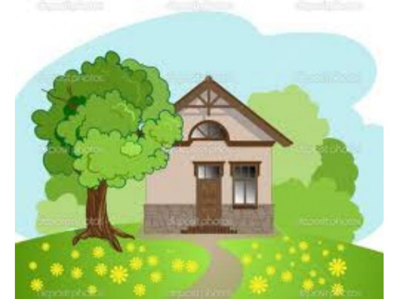 Mayfield East NSW 2304