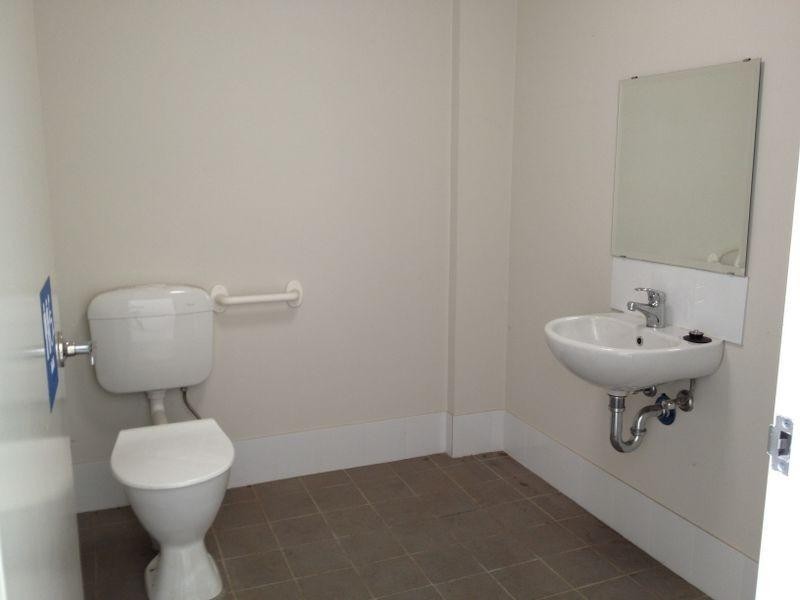 3 Frost Dr, Mayfield West NSW 2304
