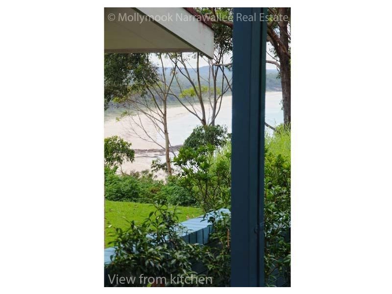 14 Tallwood Ave, Narrawallee NSW 2539