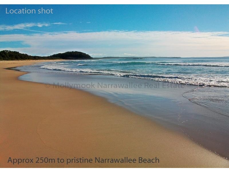 14 Tallwood Ave, Narrawallee NSW 2539