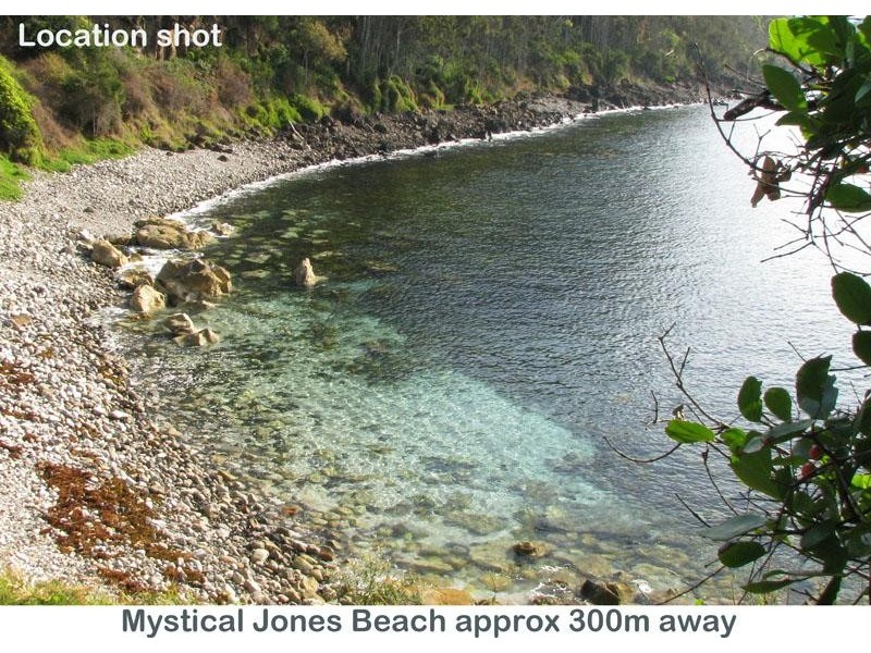 234 Mitchell Pde, Mollymook NSW 2539