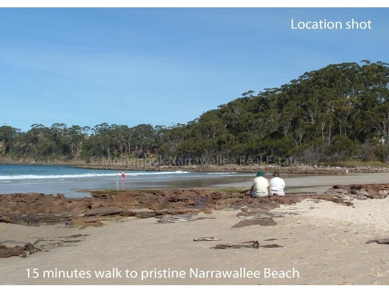 96 Leo Dr, Narrawallee NSW 2539