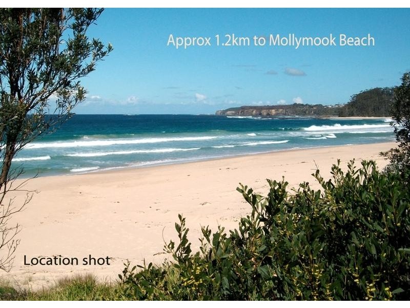 19 Yarrawonga Dr, Mollymook NSW 2539