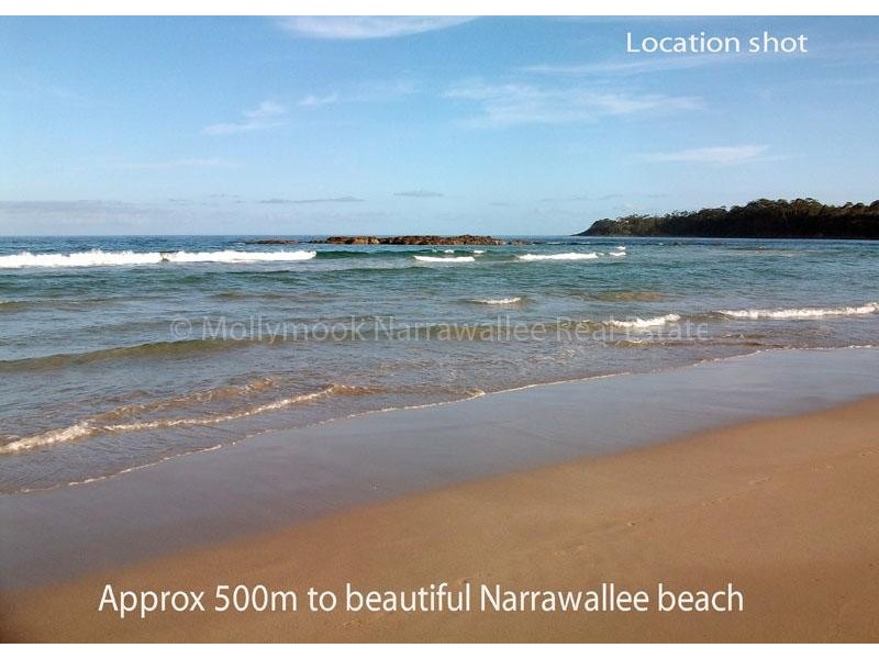 164 Leo Dr, Narrawallee NSW 2539