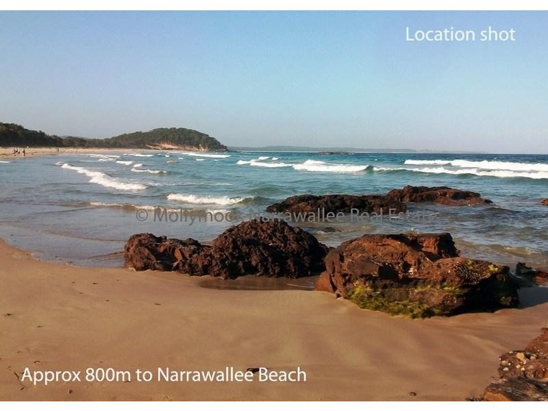 46 Seaspray St, Narrawallee NSW 2539
