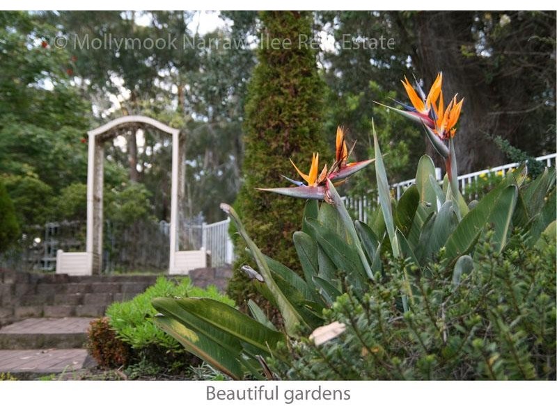 11 Blake  Pl, Narrawallee NSW 2539