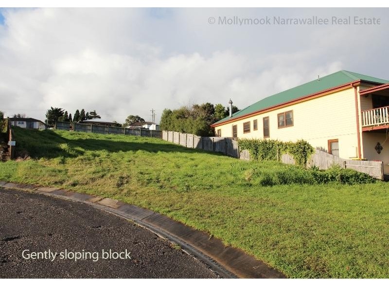 12 Drury Lane, Milton NSW 2538