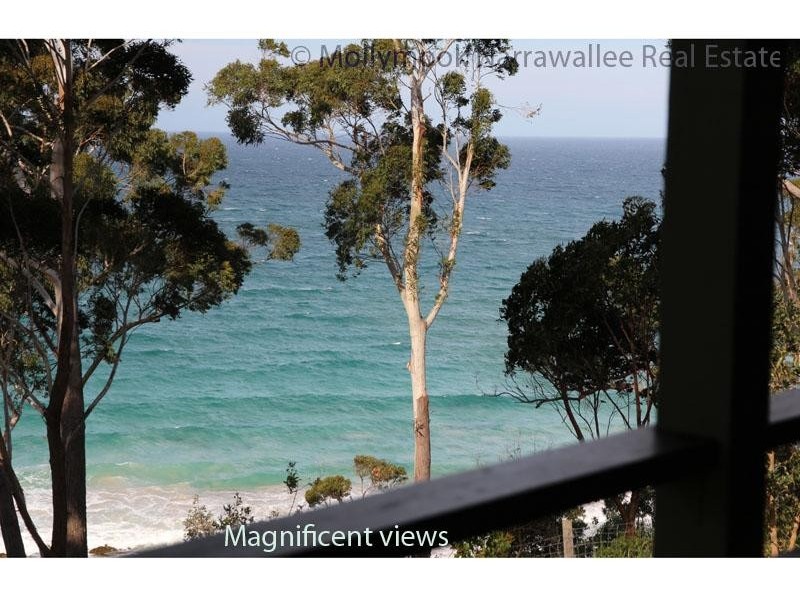 24 Tallwood Ave, Narrawallee NSW 2539