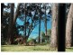 24 Tallwood Ave, Narrawallee NSW 2539