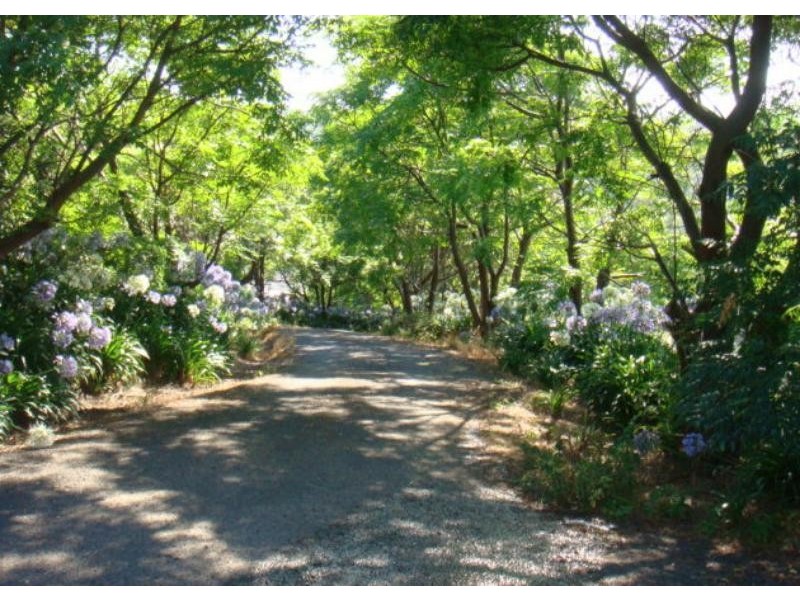 99B Garrads Lane, Milton NSW 2538