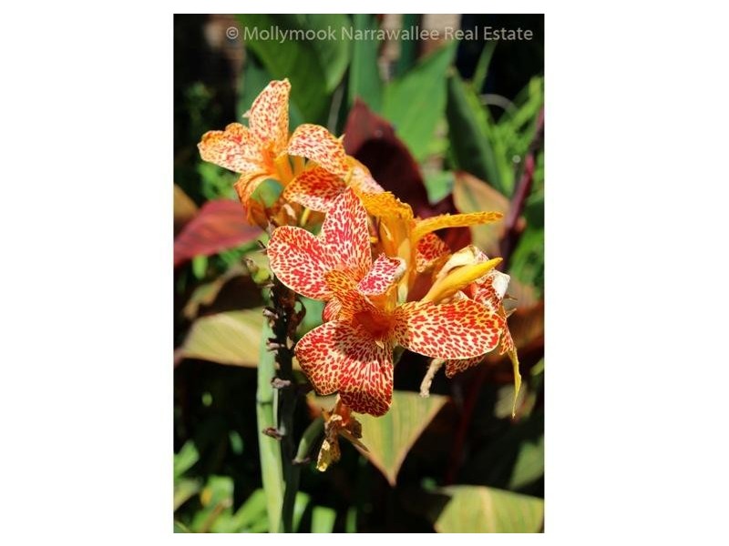 4 Stanton Dr, Ulladulla NSW 2539