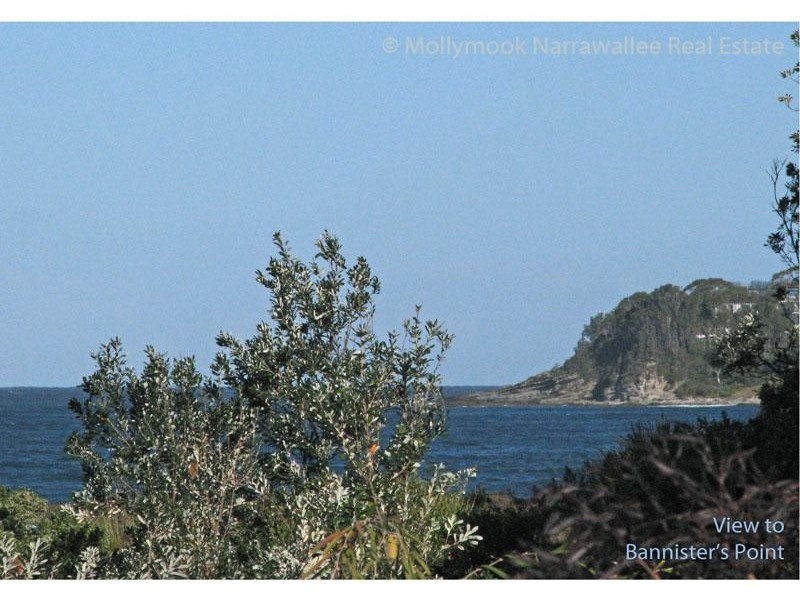 29 Matron Porter Dr, Narrawallee NSW 2539