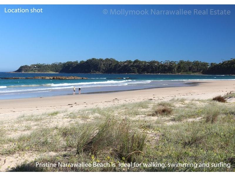 29 Matron Porter Dr, Narrawallee NSW 2539