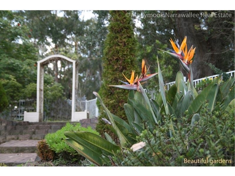 11 Blake Pl, Narrawallee NSW 2539