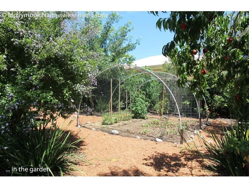 99 Garside Rd, Mollymook NSW 2539