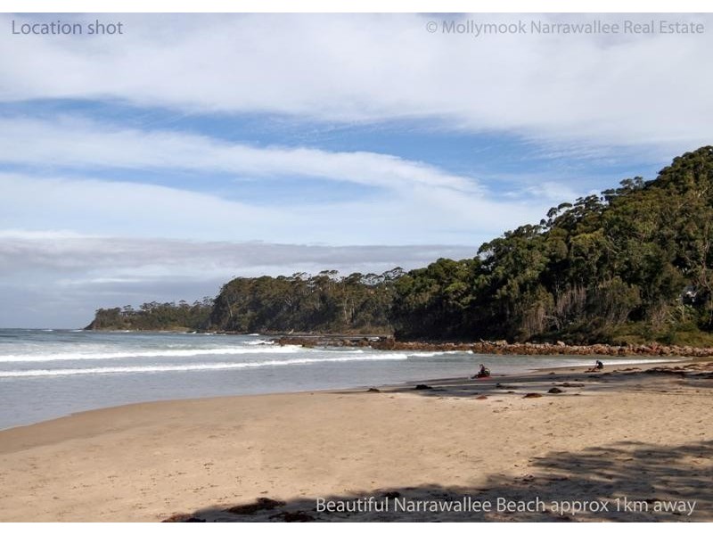 56 Seaspray  St, Narrawallee NSW 2539