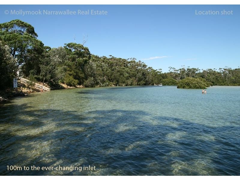 19 Matron Porter Dr, Narrawallee NSW 2539