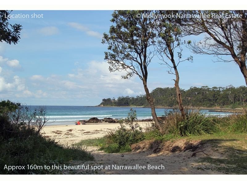 46 Bangalow St, Narrawallee NSW 2539